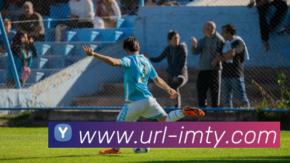 IM体育平台生态图