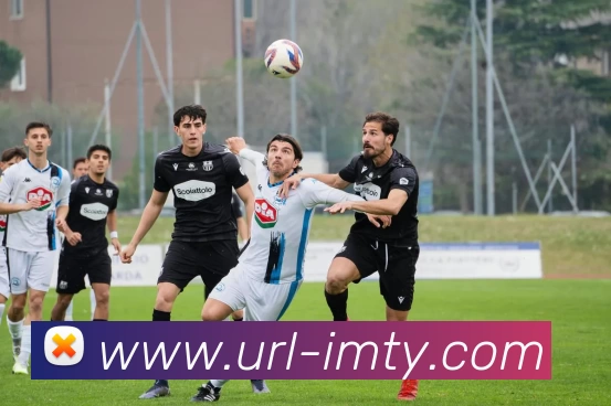 IM体育APP 封面图